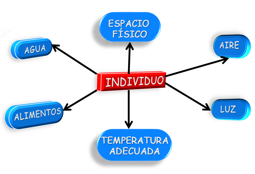 Ecología y Ecosistema