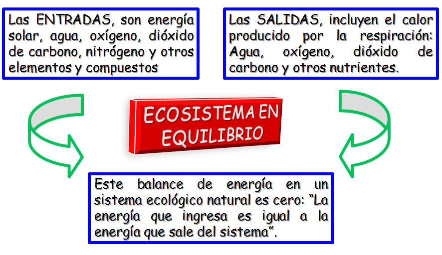 Ecología y Ecosistema