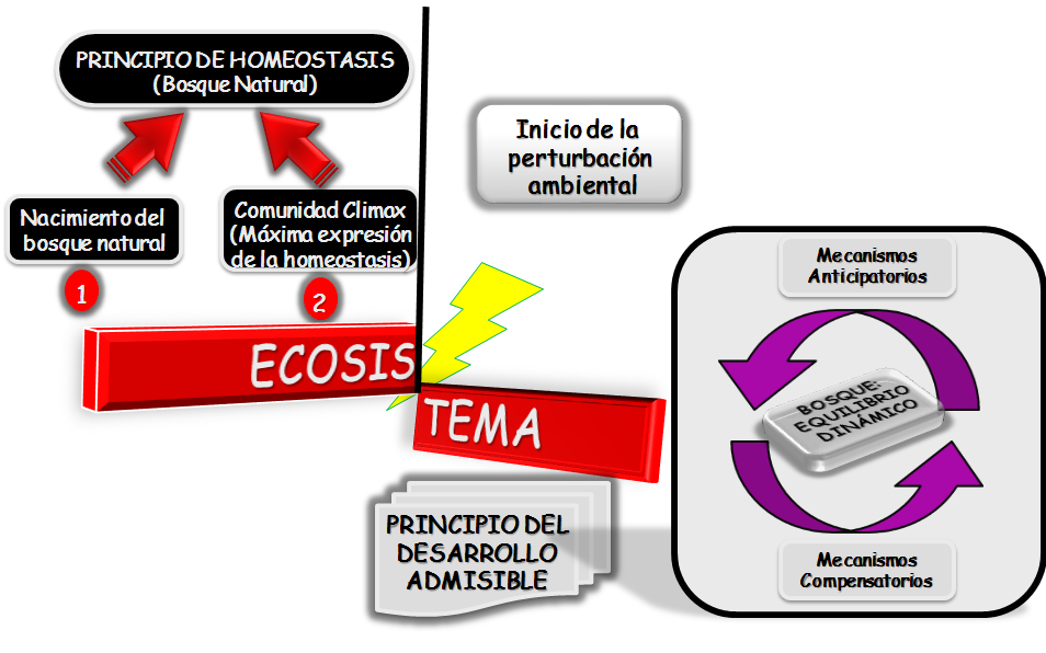 Ecología y Ecosistema