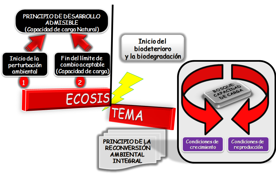 Ecología y Ecosistema