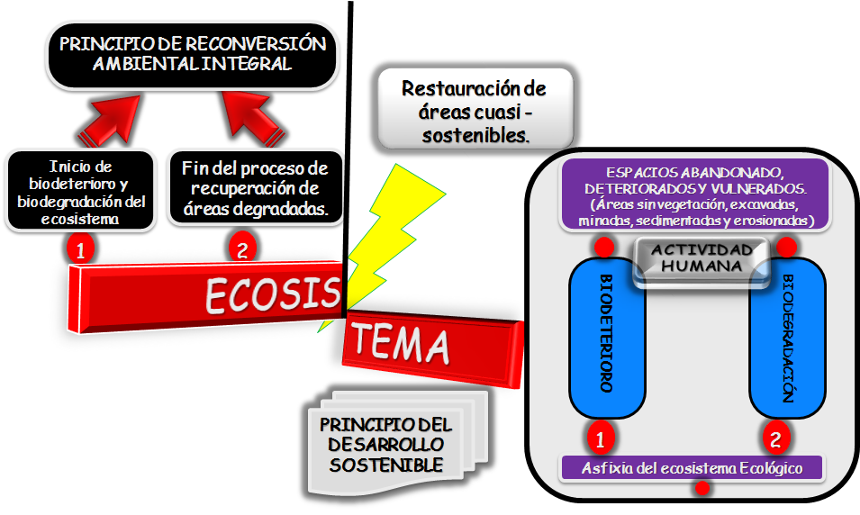 Ecología y Ecosistema