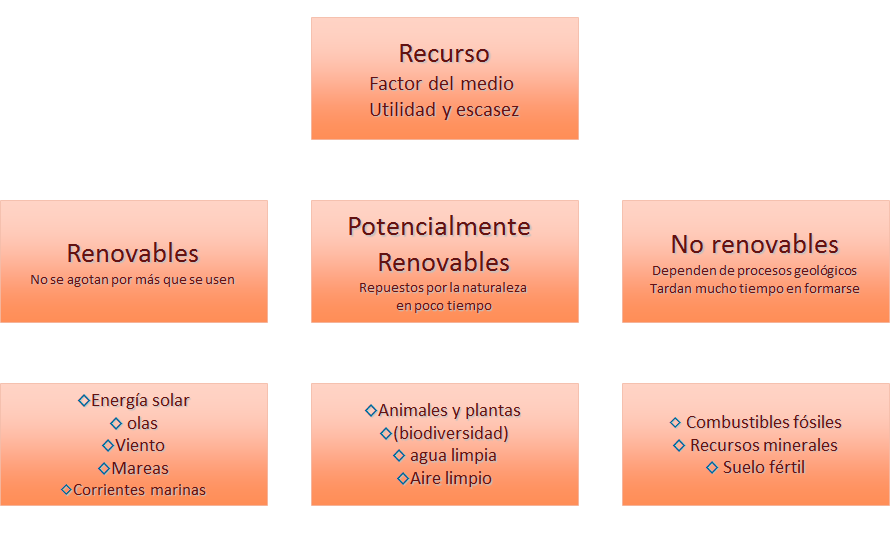 El ser humano y el medio ambiente