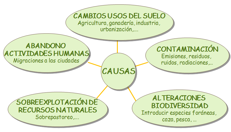 El ser humano y el medio ambiente