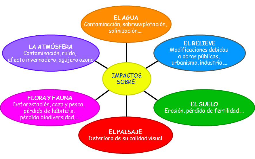 El ser humano y el medio ambiente