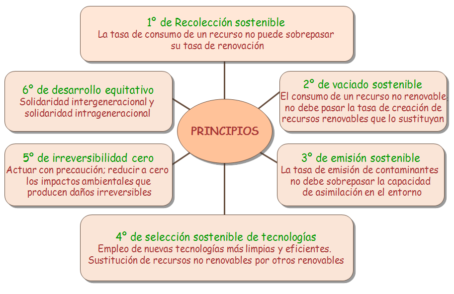 El ser humano y el medio ambiente