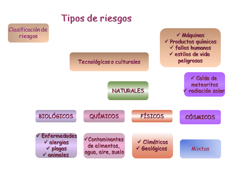 El ser humano y el medio ambiente