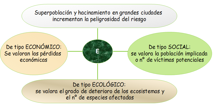 El ser humano y el medio ambiente
