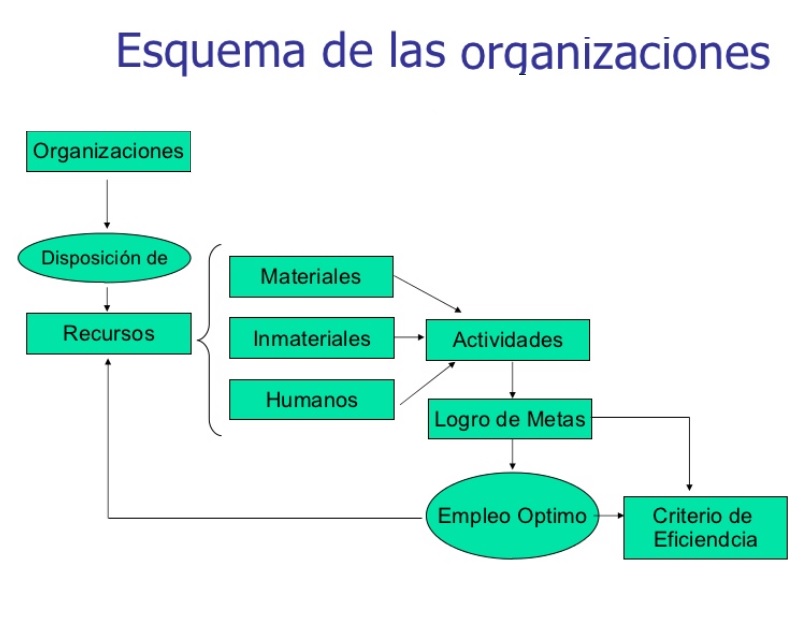 LAS ORGANIZACIONES