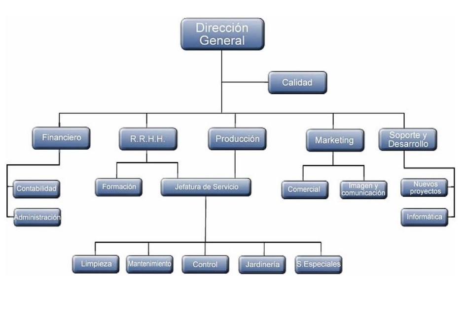 LAS ORGANIZACIONES