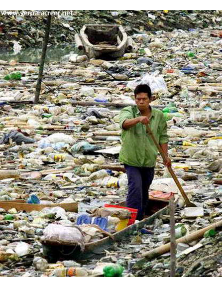 Fuentes de contaminación ambiental. Problemas ambientales