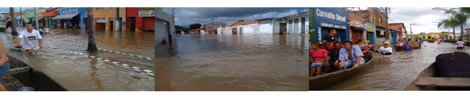 Los desastres naturales y el medio ambiente. 