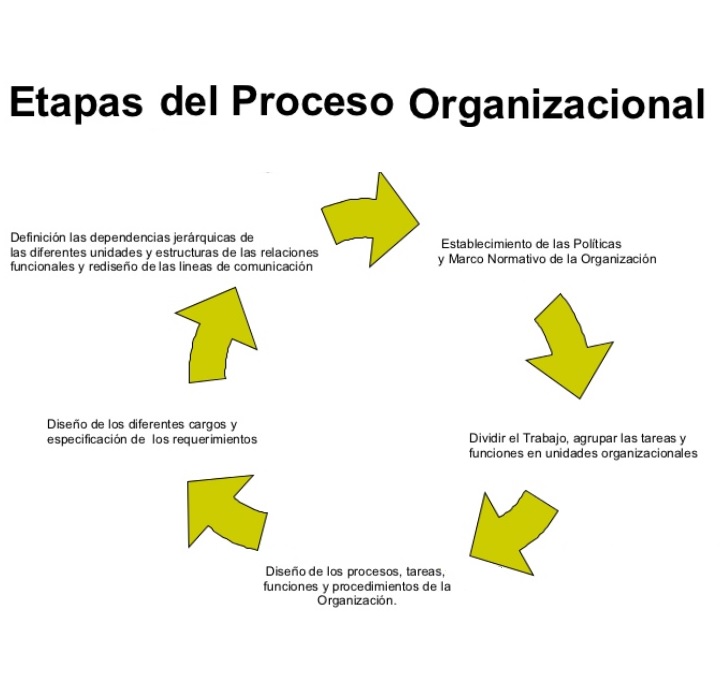 LAS ORGANIZACIONES