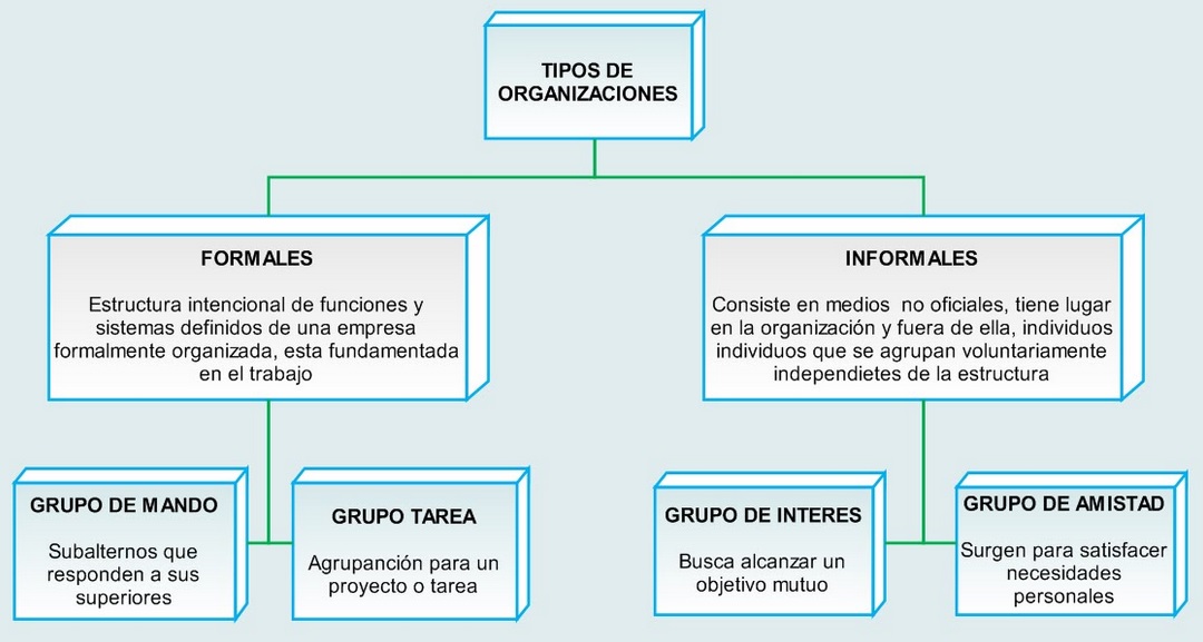 LAS ORGANIZACIONES
