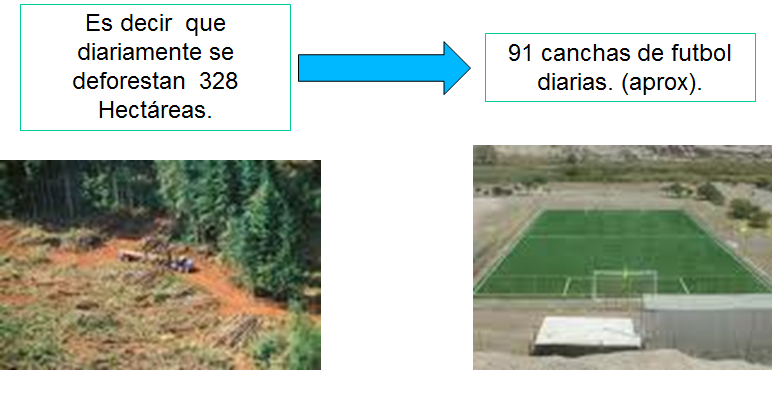 Riesgo por la actividad industrial. Riesgo por la actividad minera. Prevención de la contaminación. Revisión del trabajo de investigación.