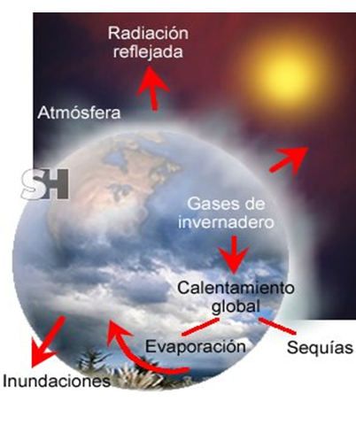 Alteraciones humanas de los ecosistemas. 