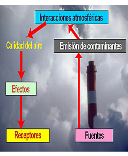 Alteraciones humanas de los ecosistemas. 