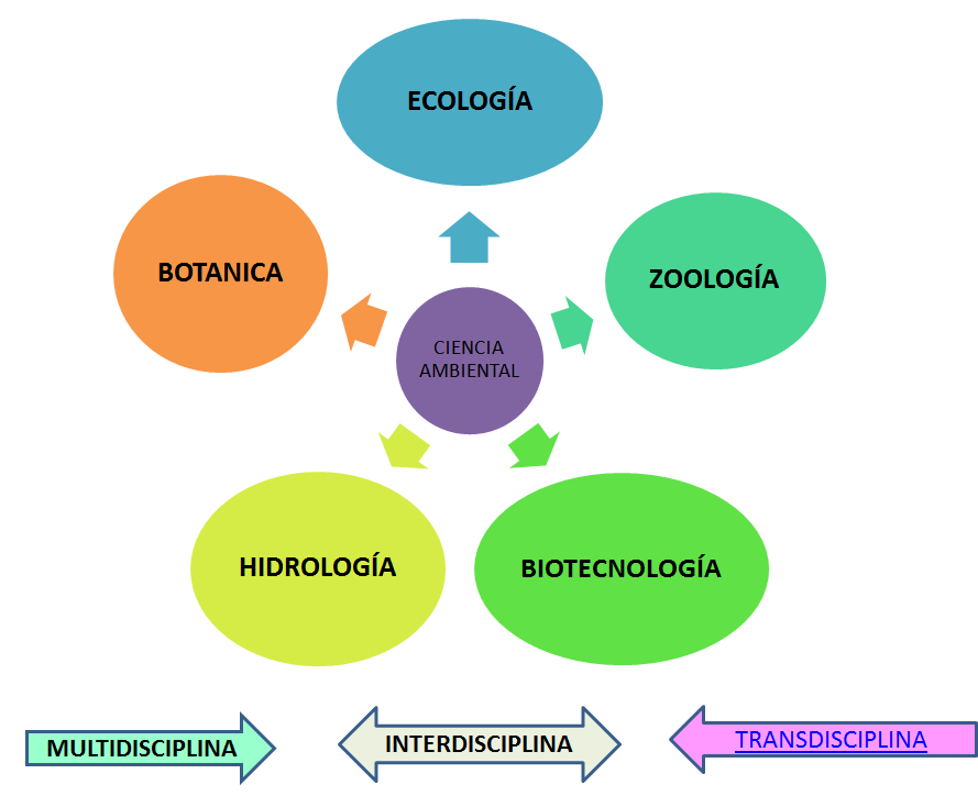 Ética. Ética ambiental. Ética empresarial.