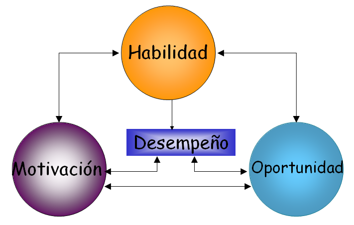 El papel del gestor en la determinación del comportamiento organizacional.