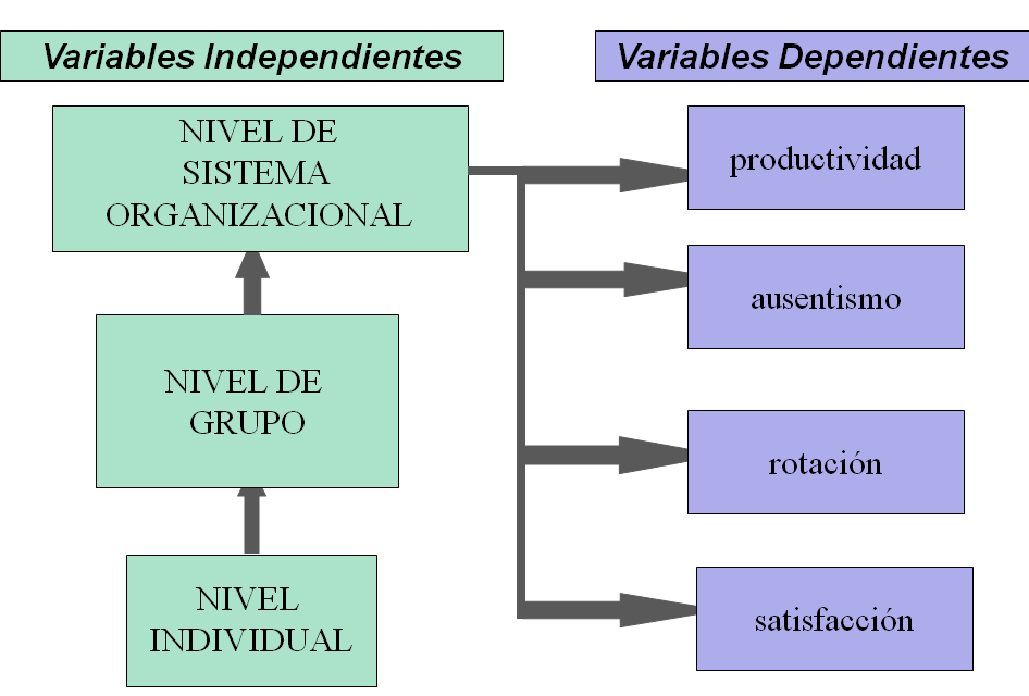 Disciplinas que contribuyen al campo del Comportamiento humano.