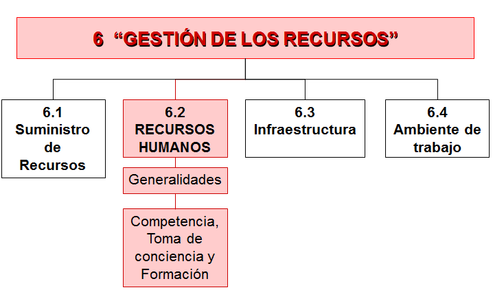 Fundamentos del Comportamiento individual Las habilidades individuales.