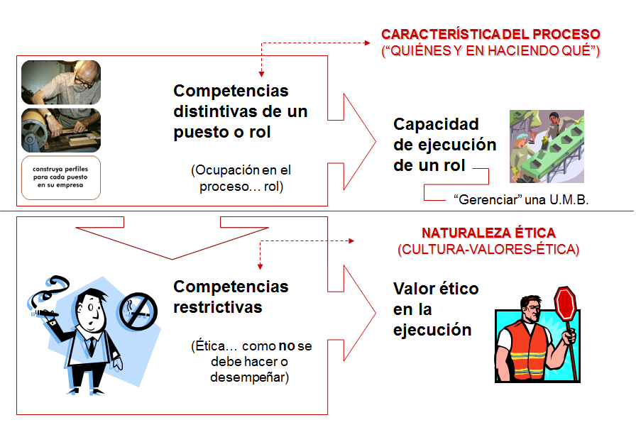 Fundamentos del Comportamiento individual Las habilidades individuales.
