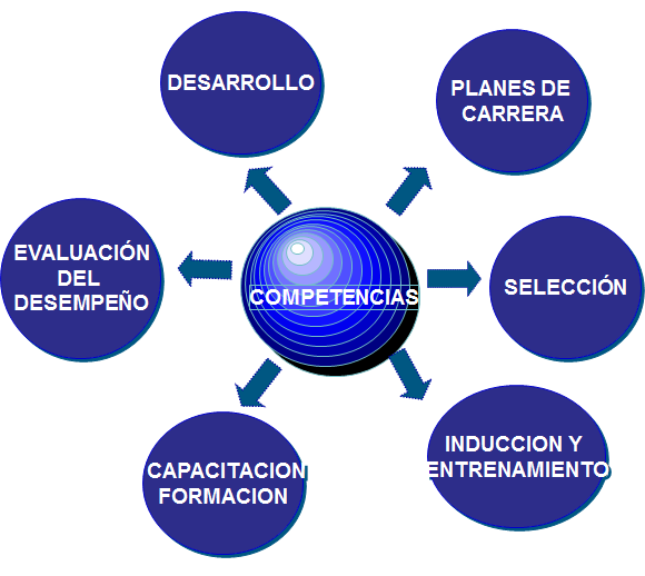 Fundamentos del Comportamiento individual Las habilidades individuales.