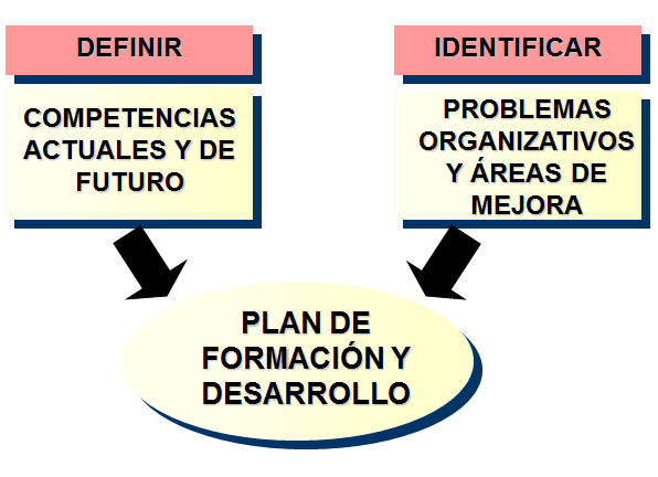 Fundamentos del Comportamiento individual Las habilidades individuales.