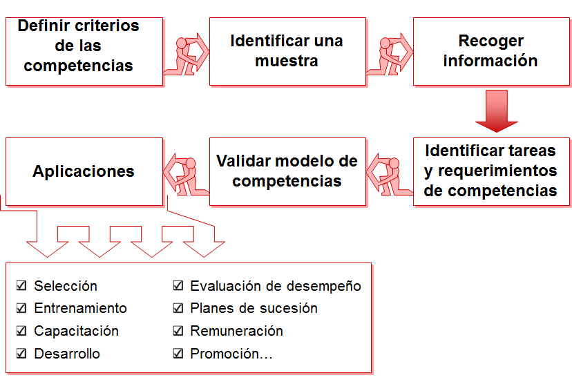 Fundamentos del Comportamiento individual Las habilidades individuales.