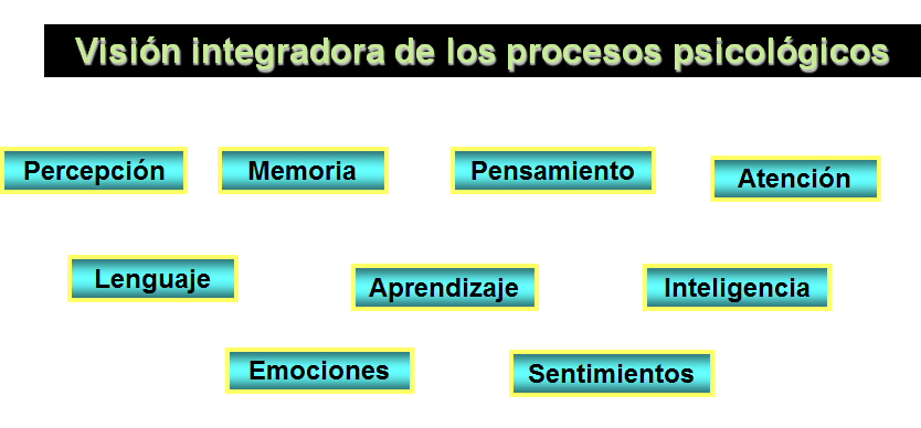 La percepción: concepto e importancia. 