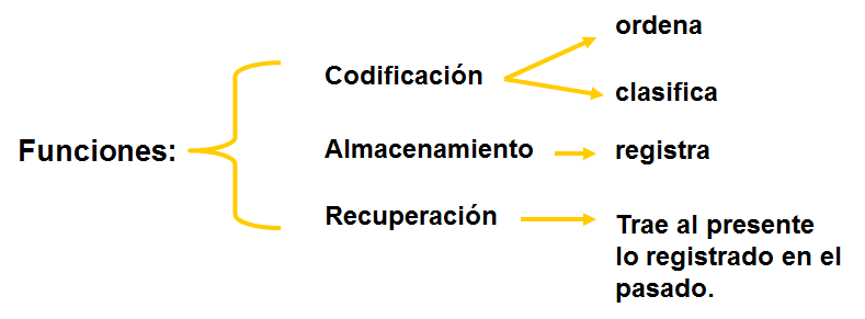 La percepción: concepto e importancia. 