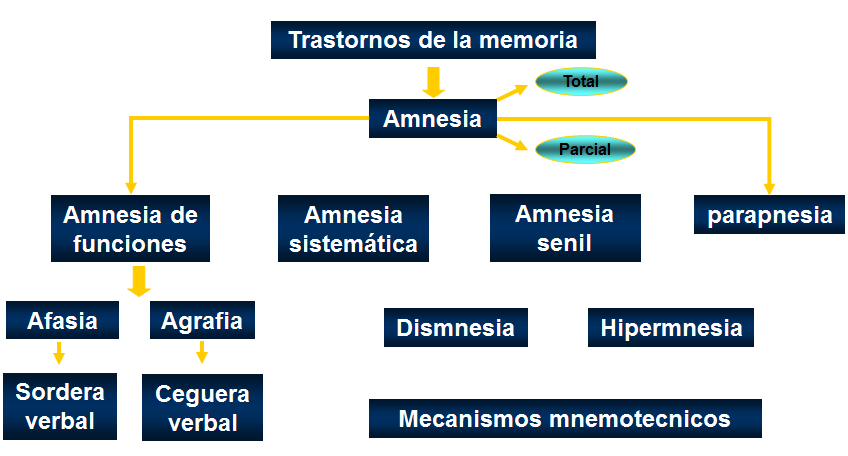 La percepción: concepto e importancia. 