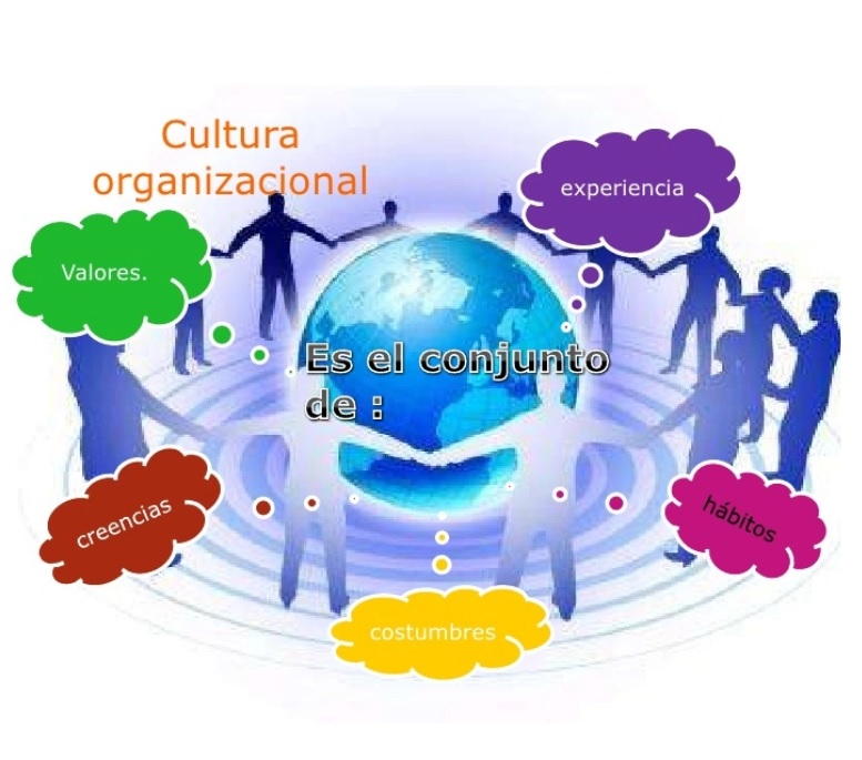 LA CULTURA DE LA ORGANIZACIÓN