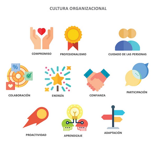 LA CULTURA DE LA ORGANIZACIÓN