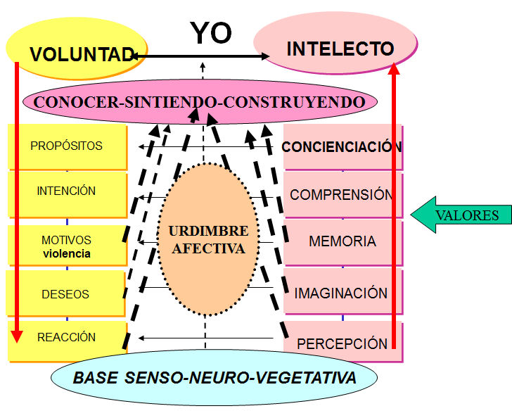 Actitudes: Tipos y proceso de formación. 