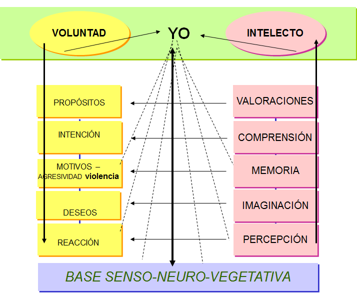 Actitudes: Tipos y proceso de formación. 