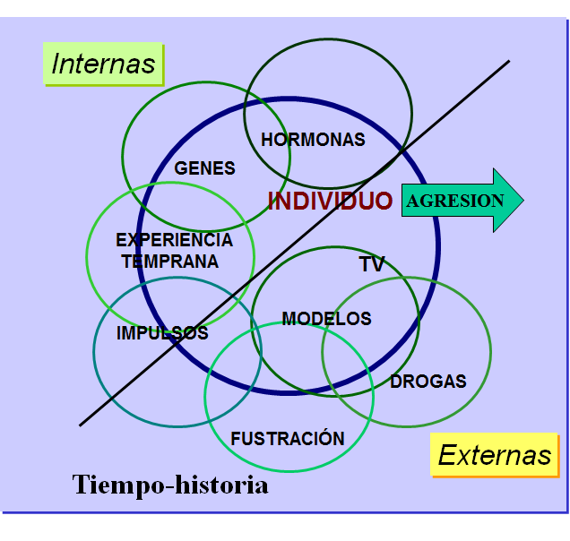 Actitudes: Tipos y proceso de formación. 