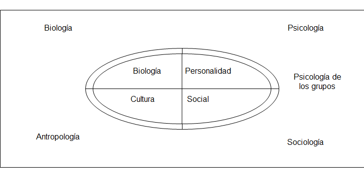 El grupo: Definición, clasificación. Estructura de grupo y toma de decisiones en grupo.