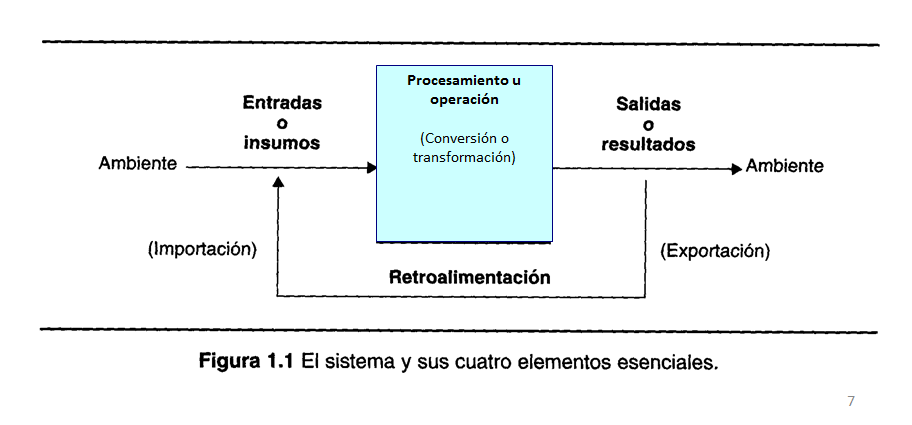 El sistema organizacional y su dinámica funcional