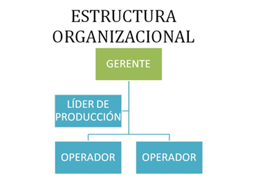 El sistema organizacional y su dinámica funcional