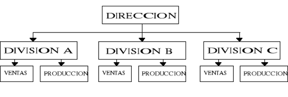 El sistema organizacional y su dinámica funcional