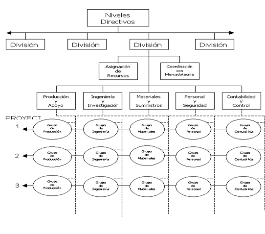 El sistema organizacional y su dinámica funcional