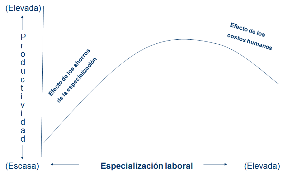 Estructura organizacional: Especialización, departamentalización y cadena de mando. 