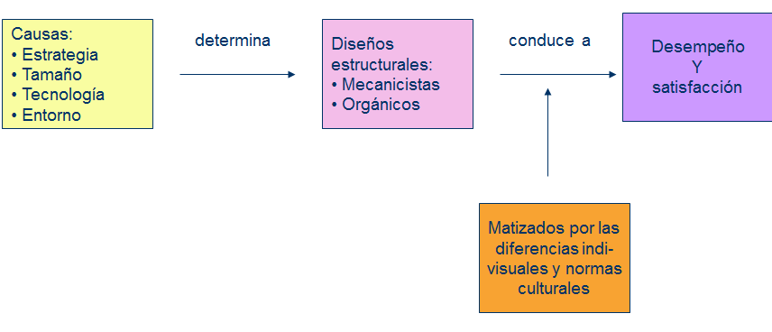 Estructura organizacional: Especialización, departamentalización y cadena de mando. 