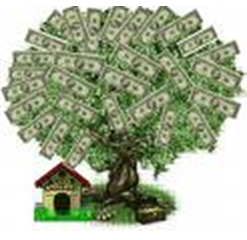 Importancia del estudio de las Finanzas