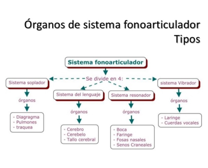 EL APARATO FONADOR