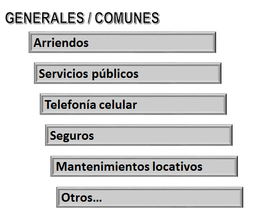 Presupuesto de efectivo