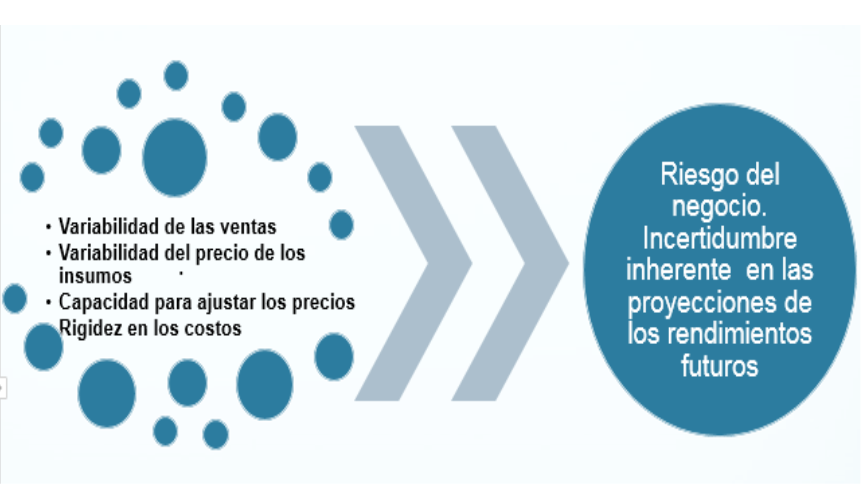 Ciclo de conversión de efectivo. Estados financieros proyectados proforma) y FER	