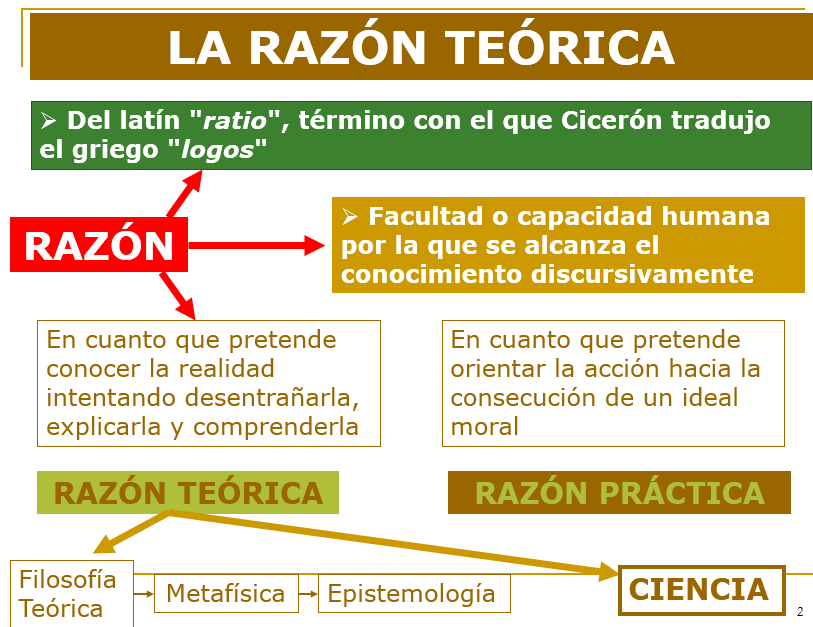 LA FILOSOFÍA COMO RACIONALIDAD TEÓRICA: VERDAD Y REALIDAD