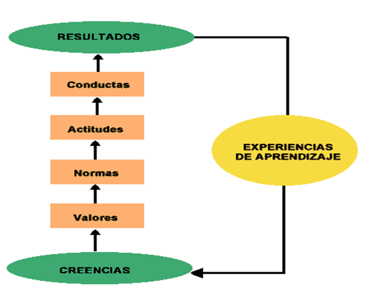 Administración Estratégica. Proceso de la Administración Estratégica.