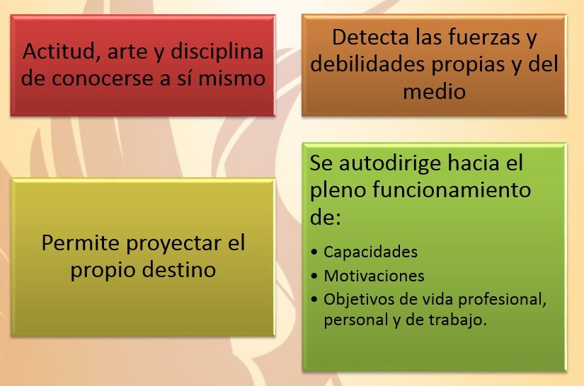 PLAN DE VIDA: IMPORTANCIA, ESTRUCTURA: VISIÓN, MISIÓN, VALORES 